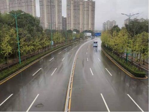 創建全國文明典范城市 扮靚雨花 顏值 為城市添綠增彩